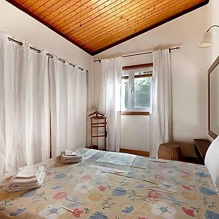 La Calabacera Casa Amarilla Tenerife Island